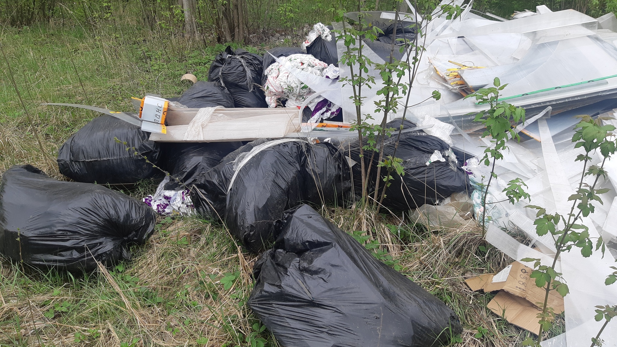 Нижегородская фирма по производству теплиц устроила незаконную свалку отходов производства у озера - Лига чистомэна, Чистомэн, Гринпис, Сила Пикабу, Природа, Загрязнение окружающей среды, Экология, Нижний Новгород, Длиннопост