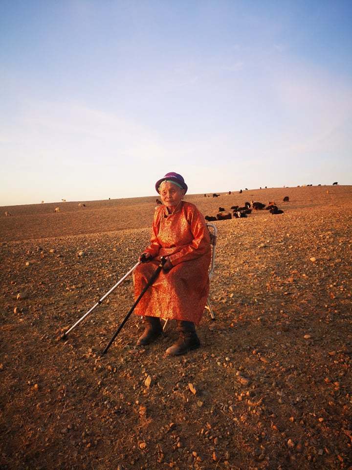 THE GIRL FROM THE PHOTOGRAPHY OF '41 OR TSEGMID SURENKHOROL FROM MONGOLIA - My, Mongolia, The Great Patriotic War, Help, Veterans, Longpost