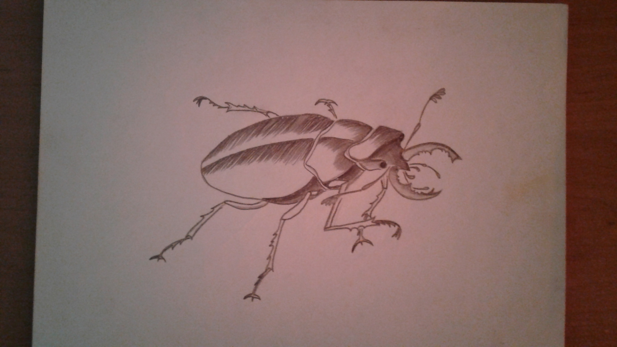 My sitters - My, Drawing, Insects, Longpost