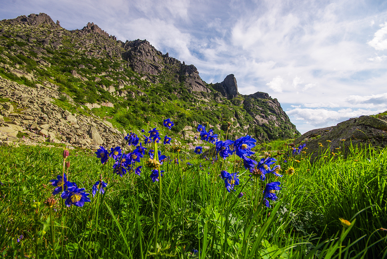 Ergaki: choose a month - My, Ergaki, Travels, Landscape, wildlife, The photo, Holidays in Russia, Camping, Wild tourism, Longpost