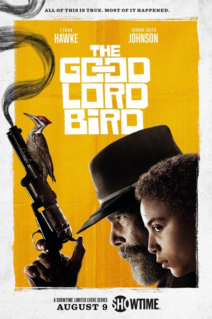 Trailer for Showtime's The Merciful Bird starring Ethan Hawke - John Brown, American Civil War, Ethan Hawke, Trailer, Video, Longpost