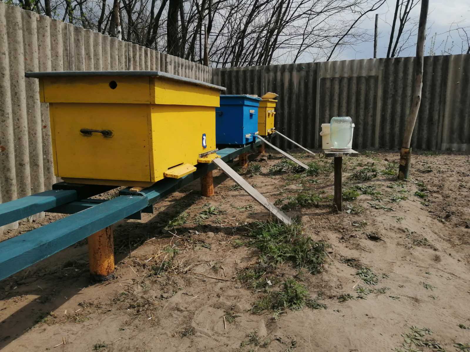 The family is not gaining strength - My, Bees, Beekeeping, Apiary