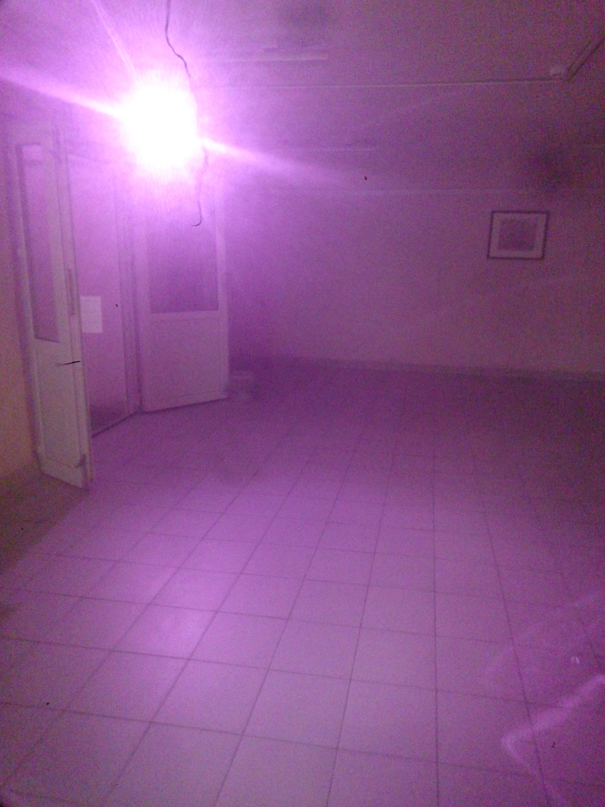 Небольшой эксперимент на самоизоляции | Пикабу