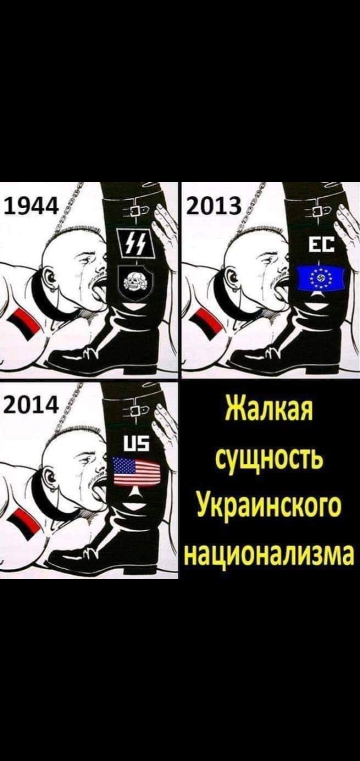 Нацизм в Украине - Нацизм, Фашизм, 2020, Независимость, Третий рейх, Идиотизм, Войска СС, Длиннопост