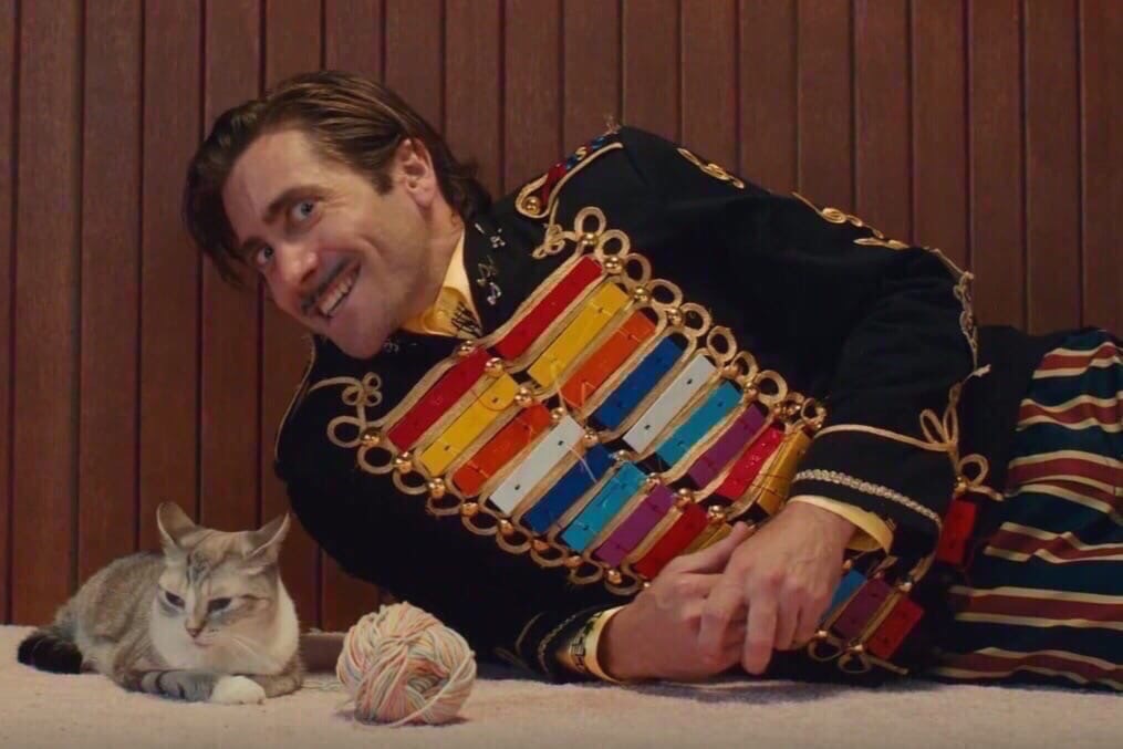 When I first got a cat - cat, Picture with text, Jake Gyllenhaal