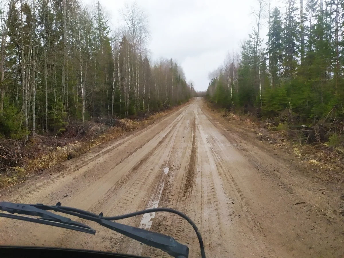 We drove along impassable logging roads of the Vepsian forest to the mysterious Finnish fortifications. Part I - Travels, Карелия, Abandoned, Forest, Swamp, Longpost, Road trip, Yandex Zen