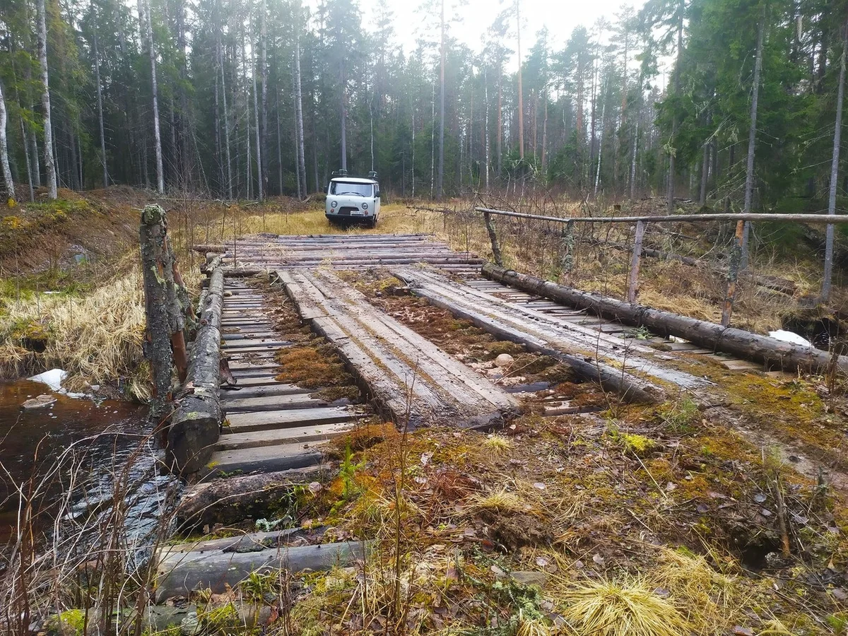 We drove along impassable logging roads of the Vepsian forest to the mysterious Finnish fortifications. Part I - Travels, Карелия, Abandoned, Forest, Swamp, Longpost, Road trip, Yandex Zen