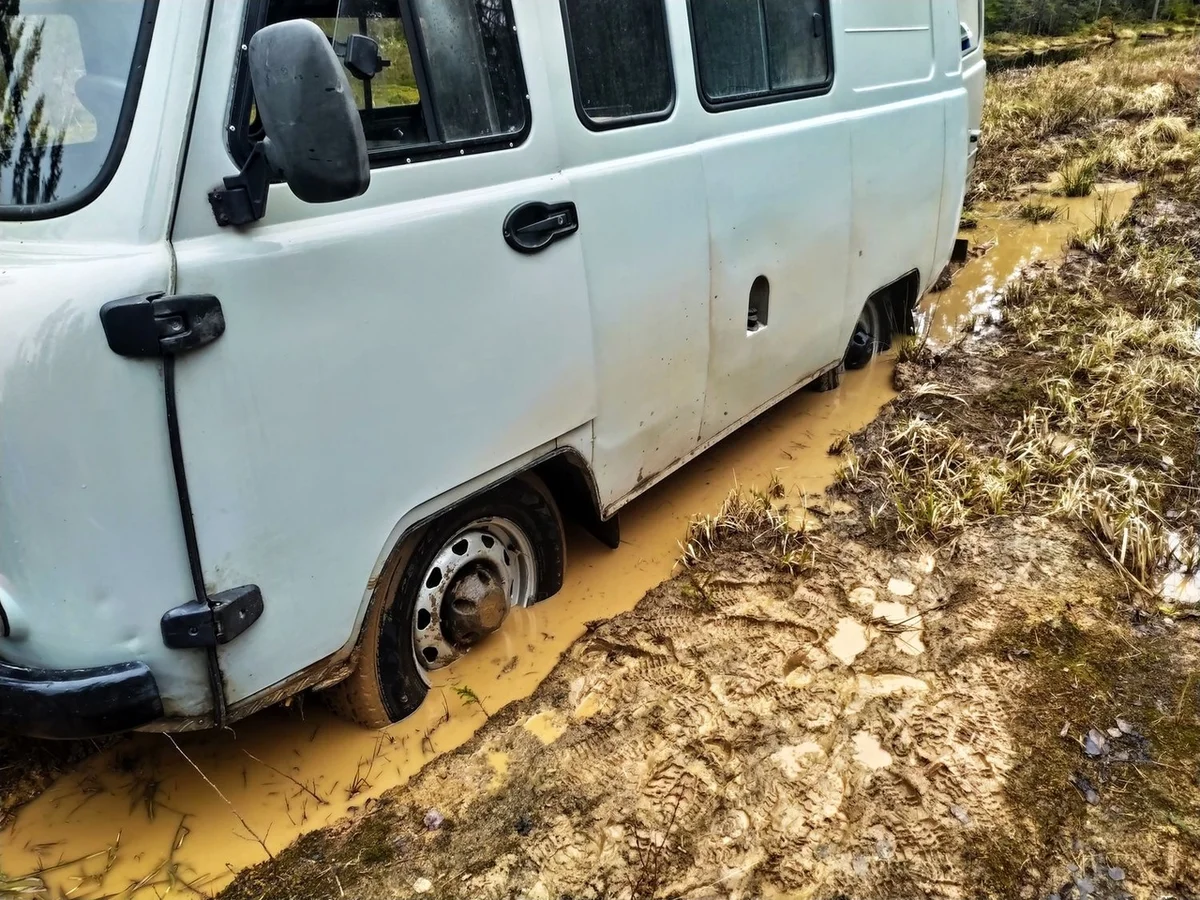 We drove along impassable logging roads of the Vepsian forest to the mysterious Finnish fortifications. Part I - Travels, Карелия, Abandoned, Forest, Swamp, Longpost, Road trip, Yandex Zen