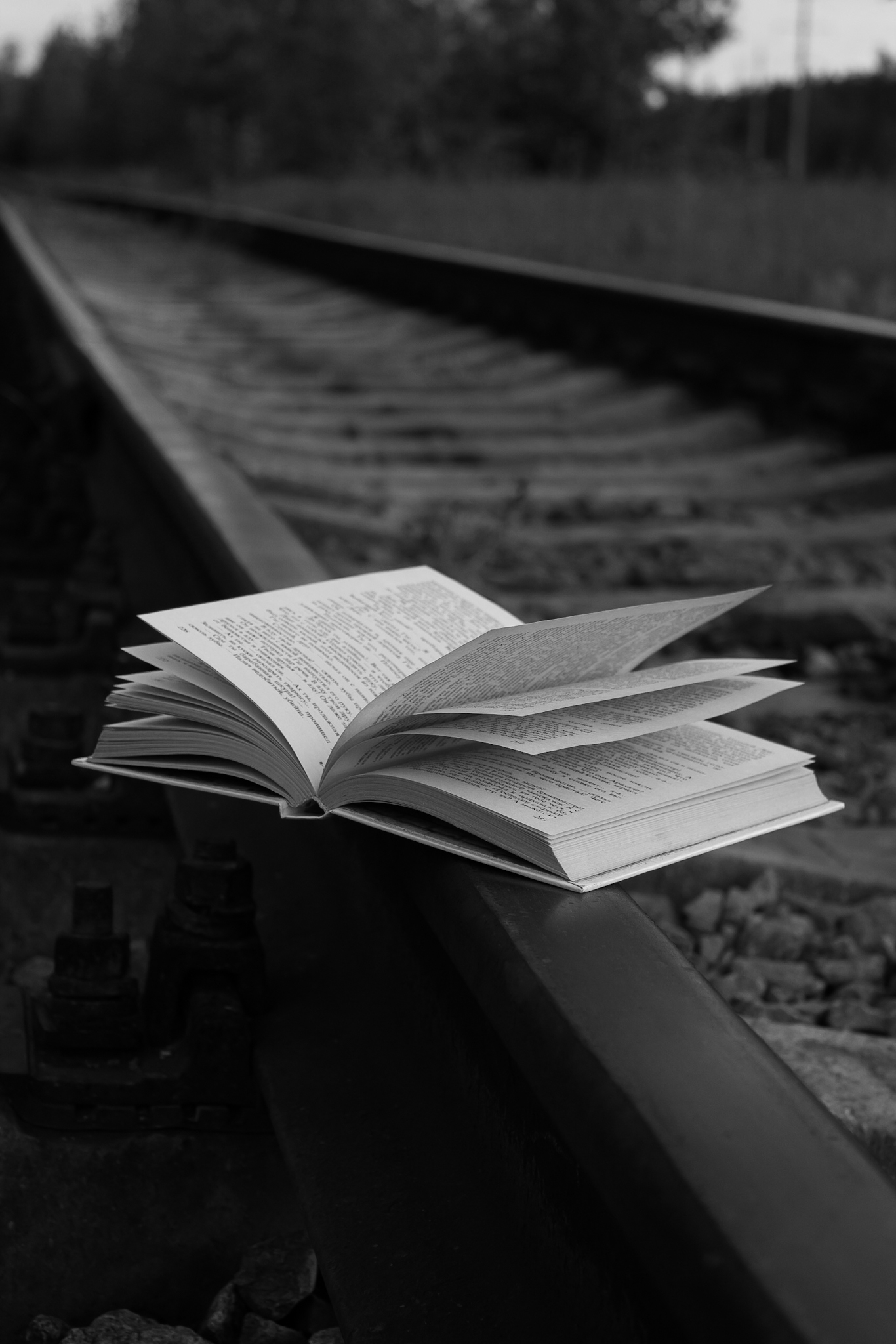 Book and rails - My, The photo, Black and white