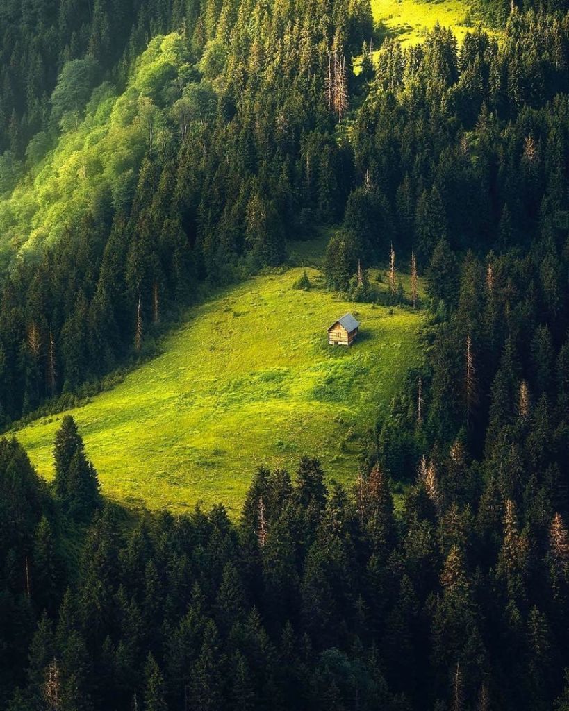 In the mountains - The mountains, House, Forest