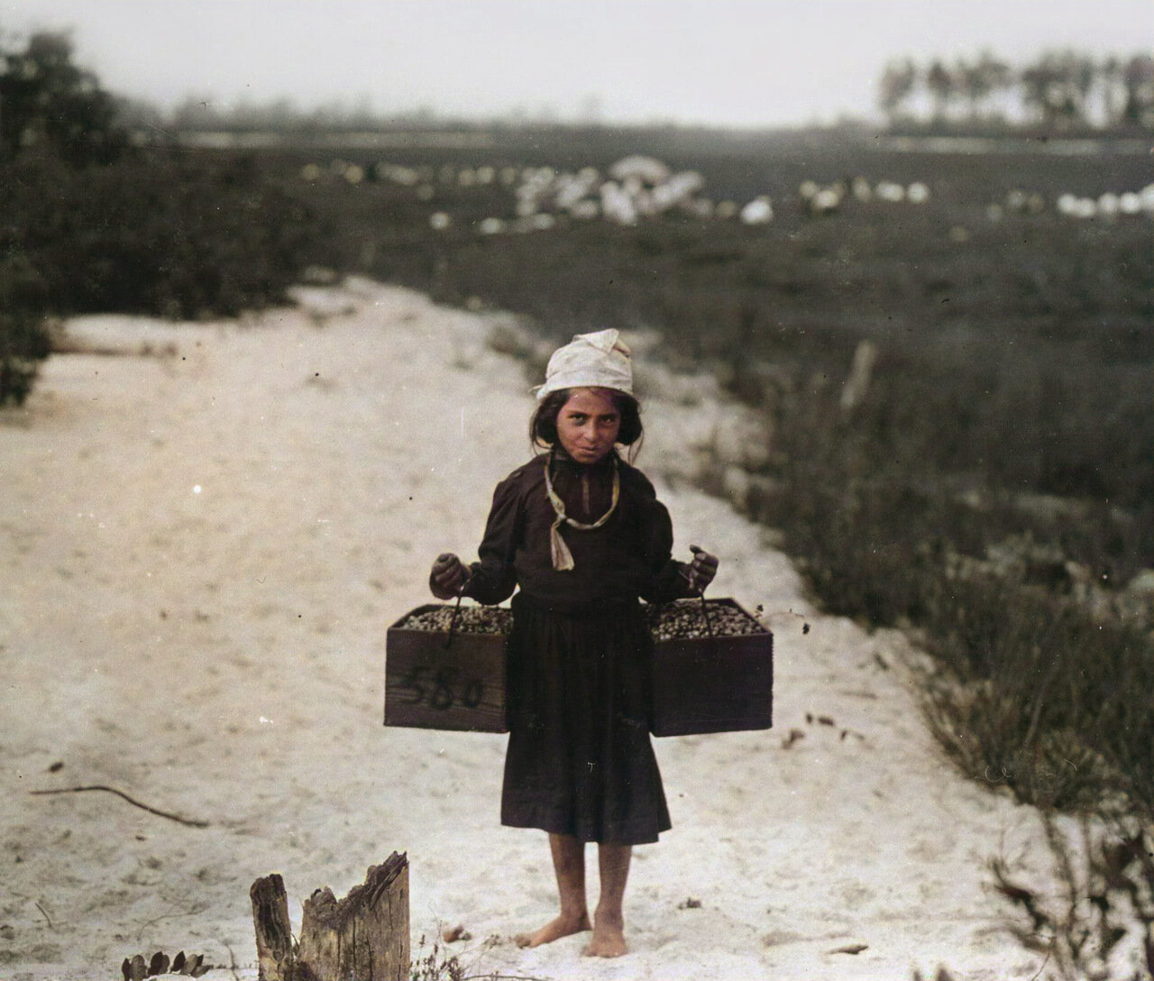 Child labor in America at the beginning of the twentieth century (colorization b/w photo) - Colorization, The photo, USA, Story, Capitalism, Exploitation, Child labour, Longpost