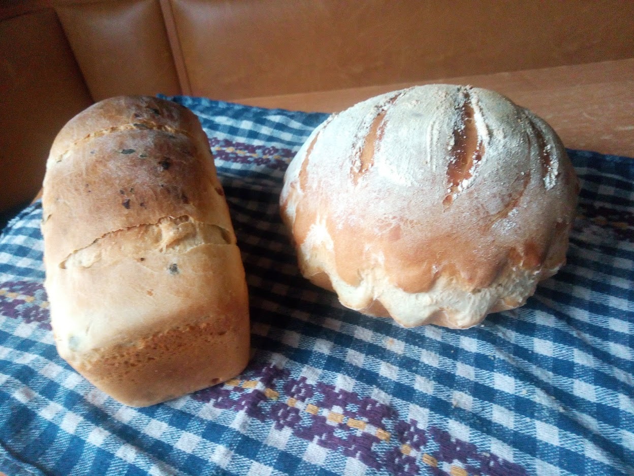 For the first time in my life I baked sourdough bread with fried onions - My, Bread, Yeast-free, Sourdough, Bake, Video, Longpost