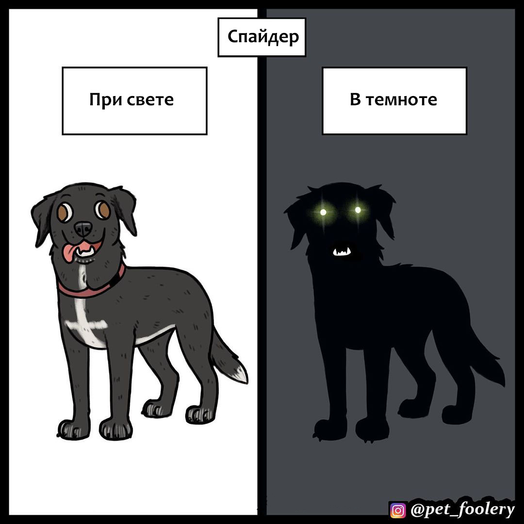 Бен о различиях между своими собаками! - Pet Foolery, Комиксы, Собаки и люди, Собака, Длиннопост