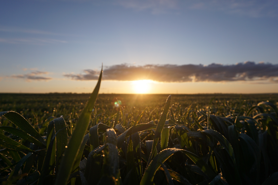 Morning - My, Morning, Nature, The photo, Sony a6000