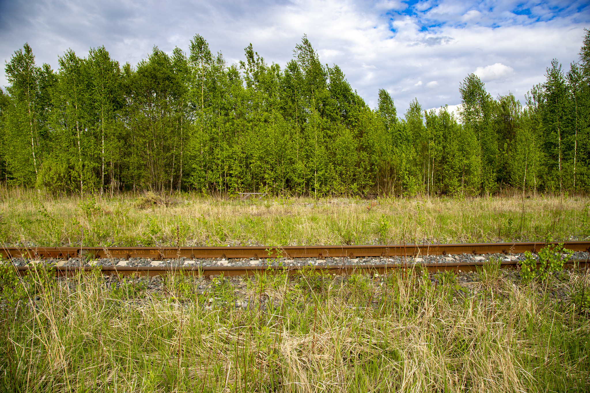 Photo hunt for RA-1 or a trip to the railway - My, Railway, Shatura, Locomotive, A train, Railcar, Trolley, RA1, Longpost