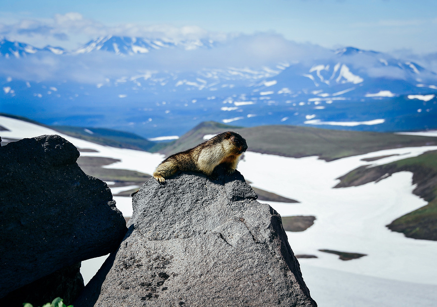 Cold beauty, or the most majestic glaciers of Russia - Nature, Glacier, The mountains, Elbrus, Travels, Ecology, Longpost