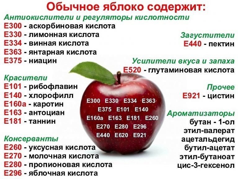 С гидом по Хреньландии. Харчевня ужасов-4. И это всё о Е - Моё, БАД, Страх, Длиннопост