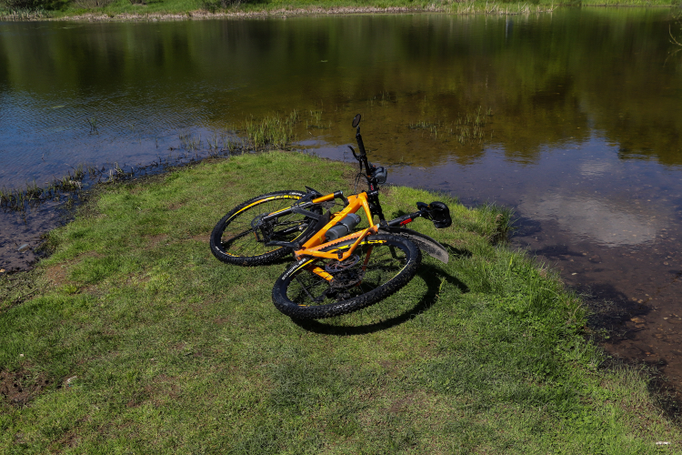 Bicycle-landscape - My, The photo, Nature, A bike, Landscape, Canon 800D, Plants, Insects, Longpost