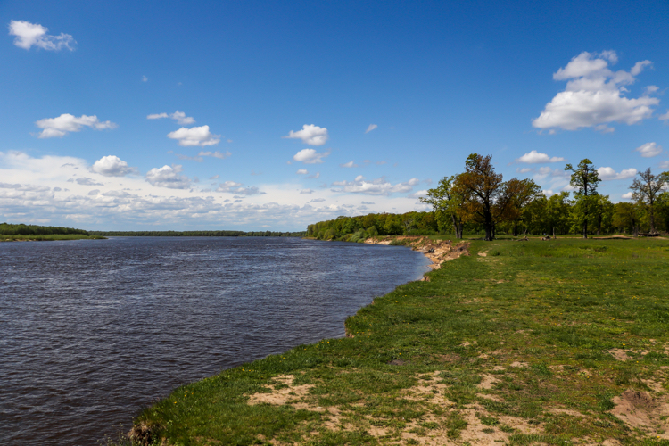 Велосипедно-пейзажное - Моё, Фотография, Природа, Велосипед, Пейзаж, Canon 800D, Растения, Насекомые, Длиннопост