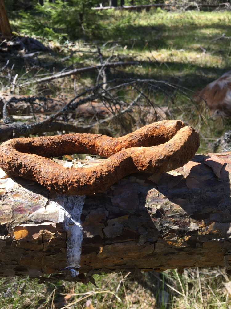 What is this? - Find, Forest, Forging, History (science), Longpost, What's this?