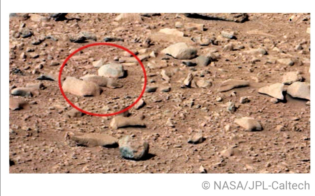 From squirrel to ghost: the most unusual “finds” from Mars - Mars, The photo, Optical illusions, Longpost