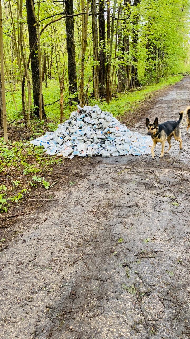 A dump is a dump, but everything must have a limit - My, No rating, Moscow region, Sergiev Posad, Dump, Garbage, Video, Longpost, Negative