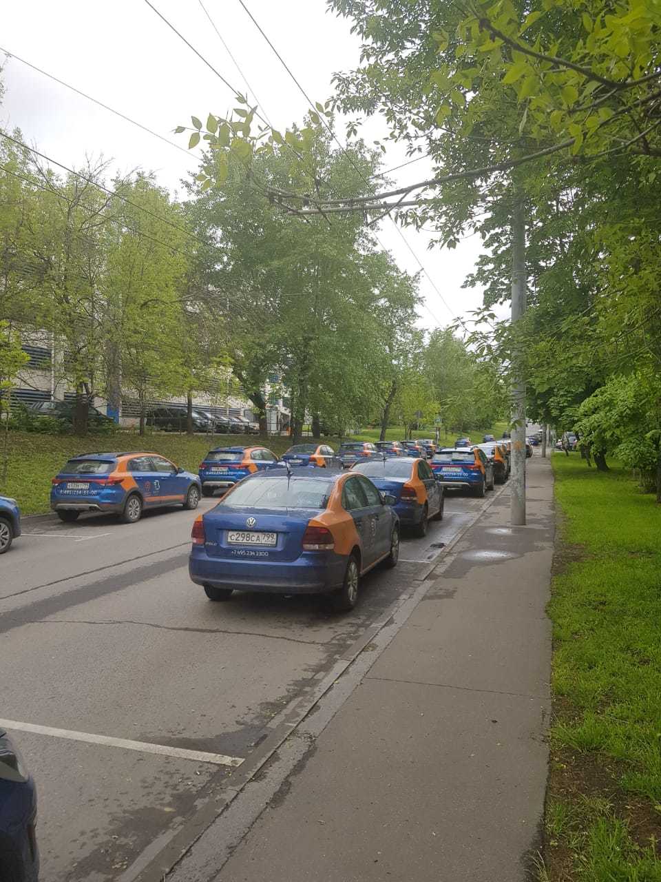 Nature has become so clean that squirrels have returned to Moscow courtyards - Peace, Moscow, Car sharing, Self-isolation, Nature, Auto