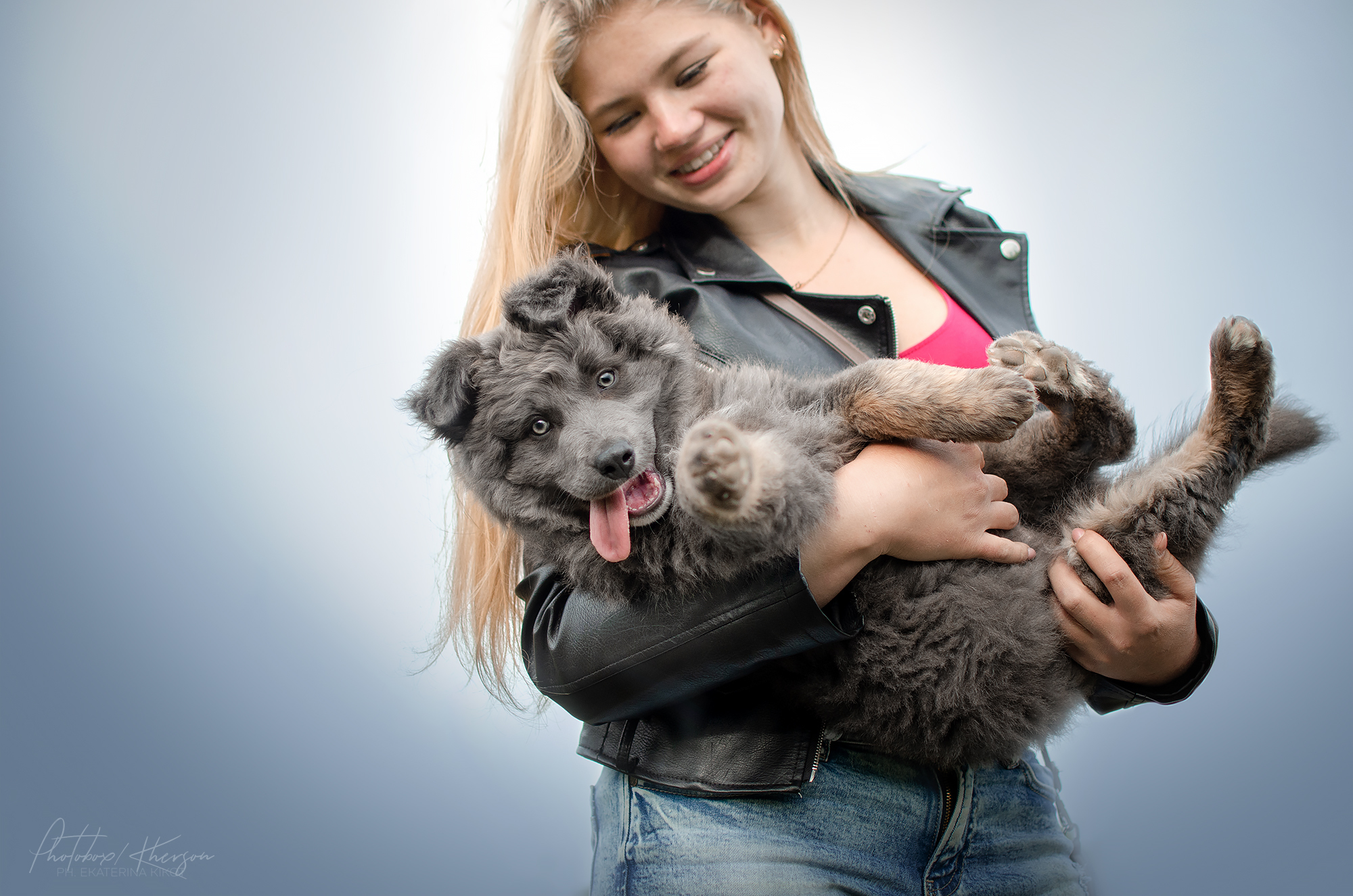 Dogs - Dog, Girls, Field, Longpost