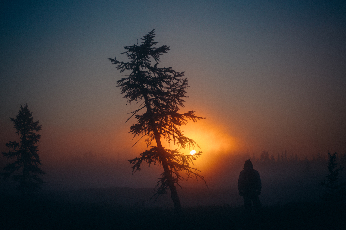 In the morning forest - My, Yamal, Tundra, Morning, Canon, Forest, dawn, Fog, Russia