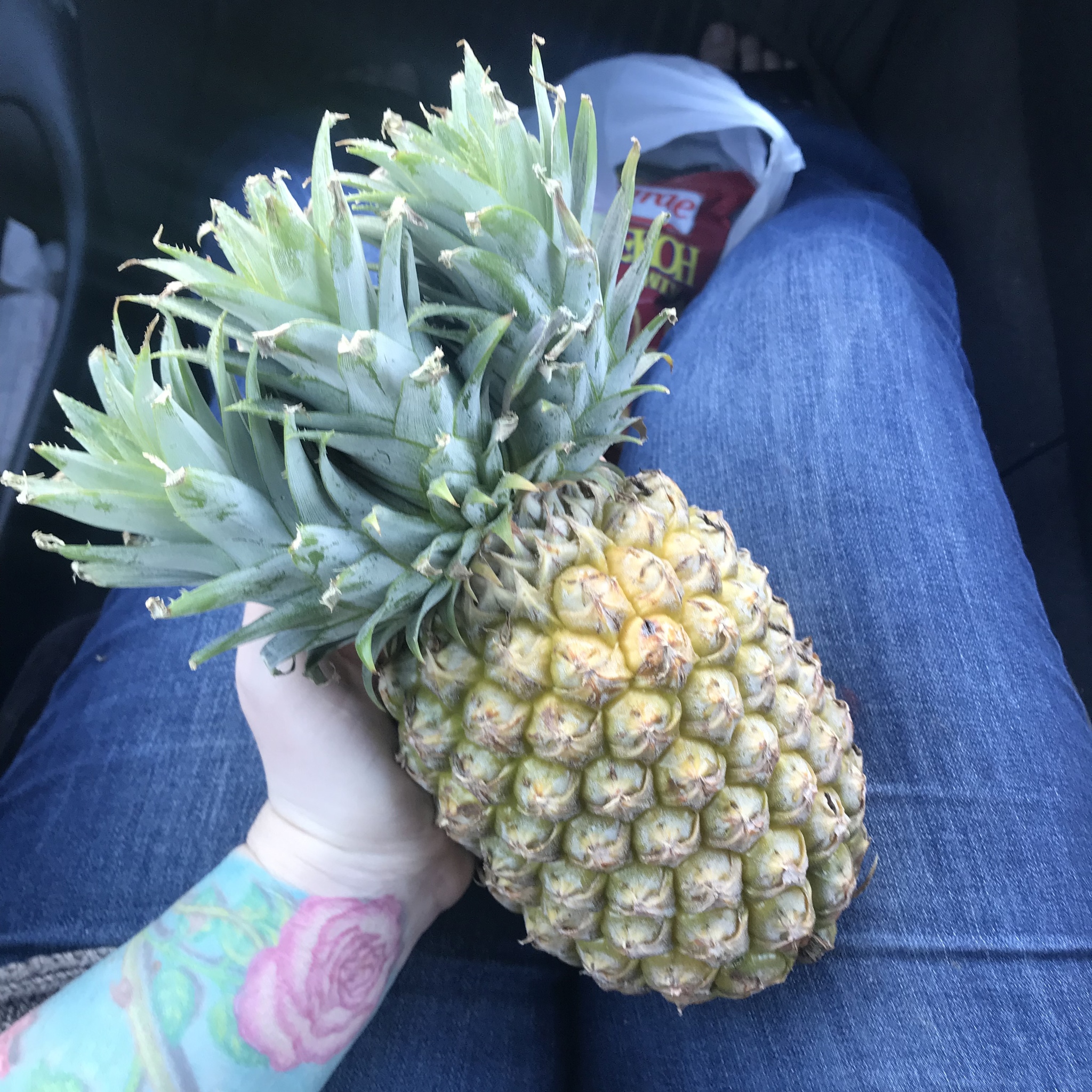 Pineapple mutant) - My, A pineapple, Mutant, Mutation