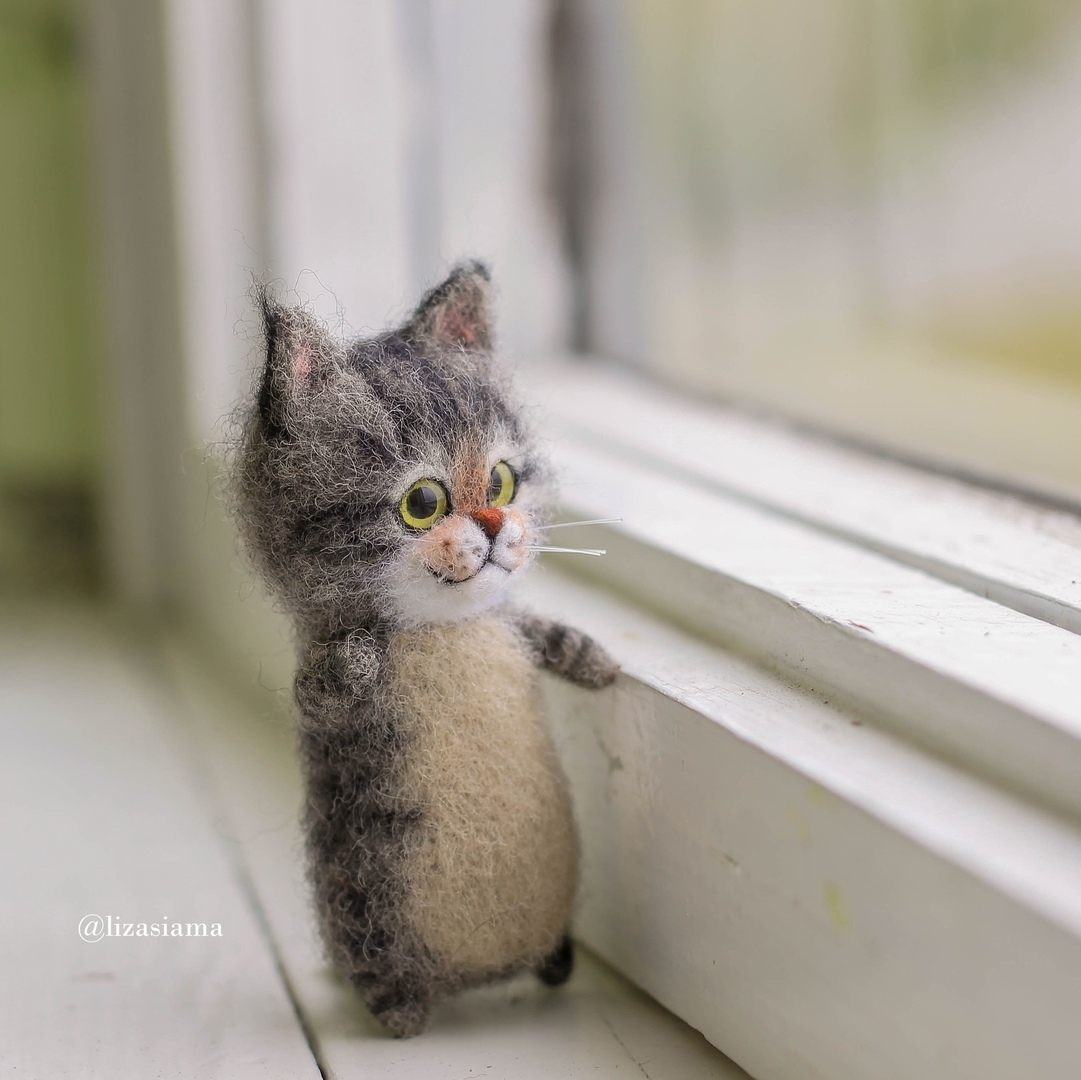 Котики в технике сухое валяние - Моё, Сухое валяние, Творчество, Рукоделие без процесса, Кот, Арт, Игрушки, Ручная работа, Милота, Длиннопост