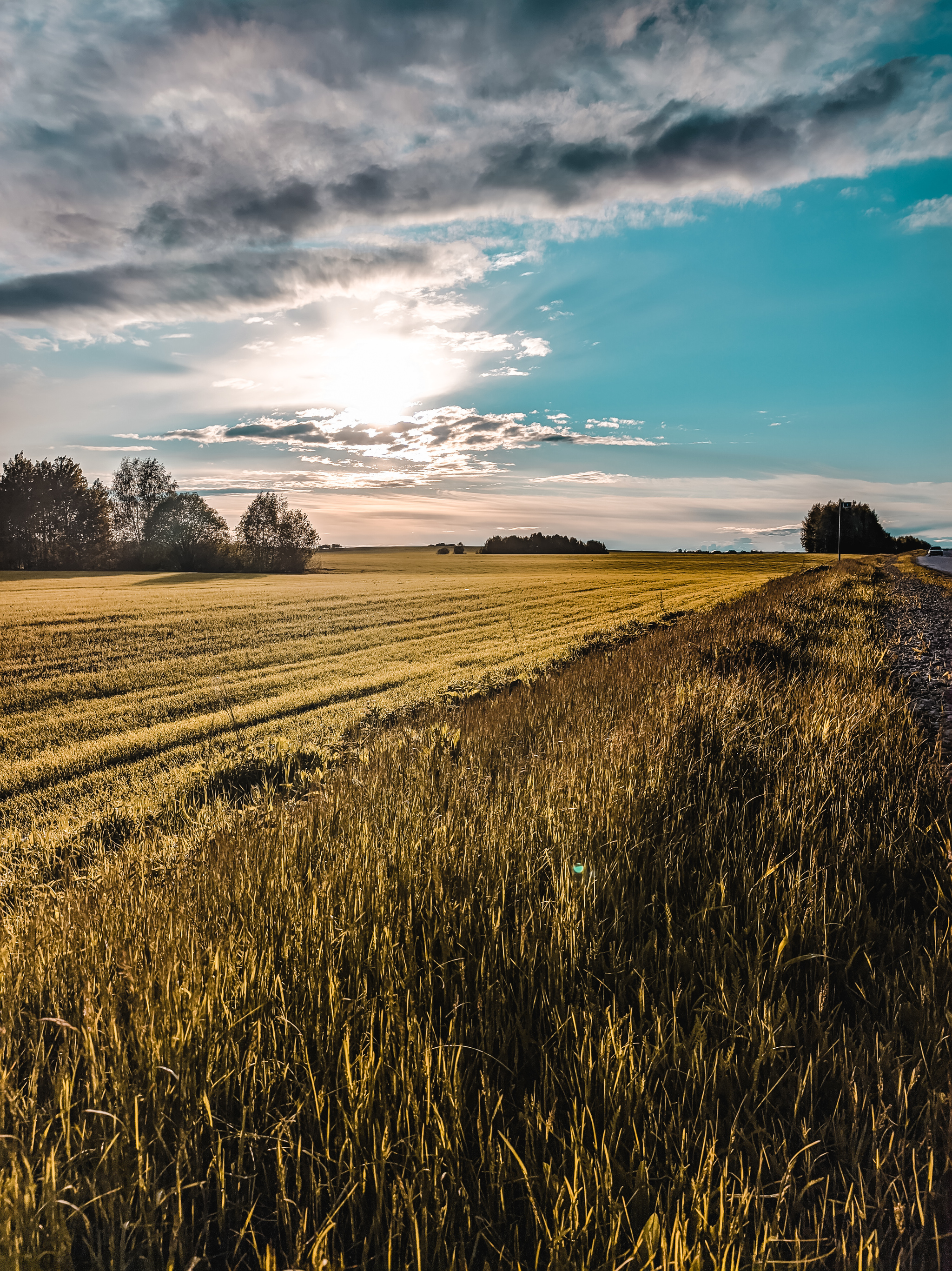 On the way from the outback to the metropolis. Nizhny Novgorod Region - My, Village, Nature, Nizhny Novgorod Region, Longpost, The photo