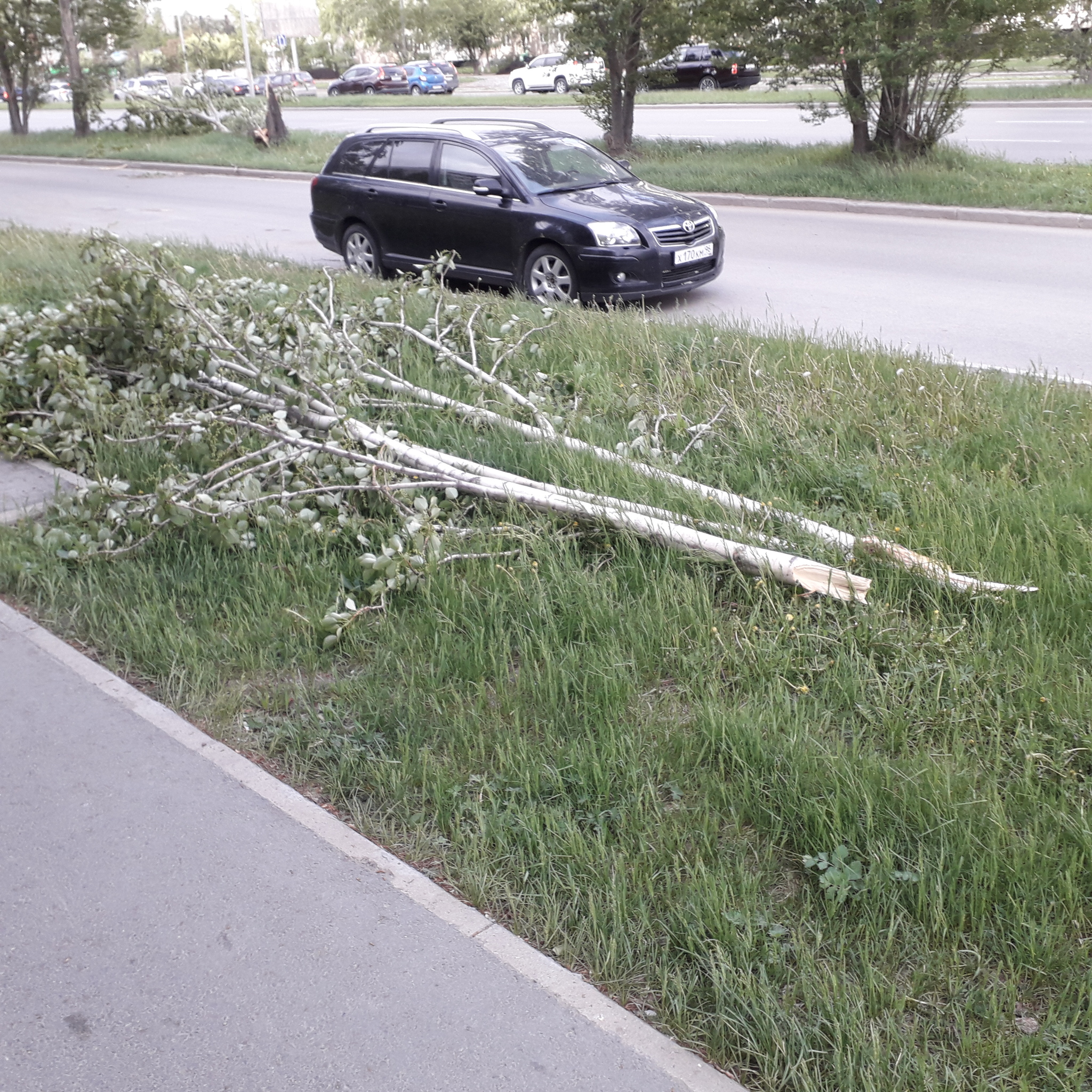 I love thunderstorms in the middle of May... - My, Element, Bad weather, Wind, Longpost, Yekaterinburg