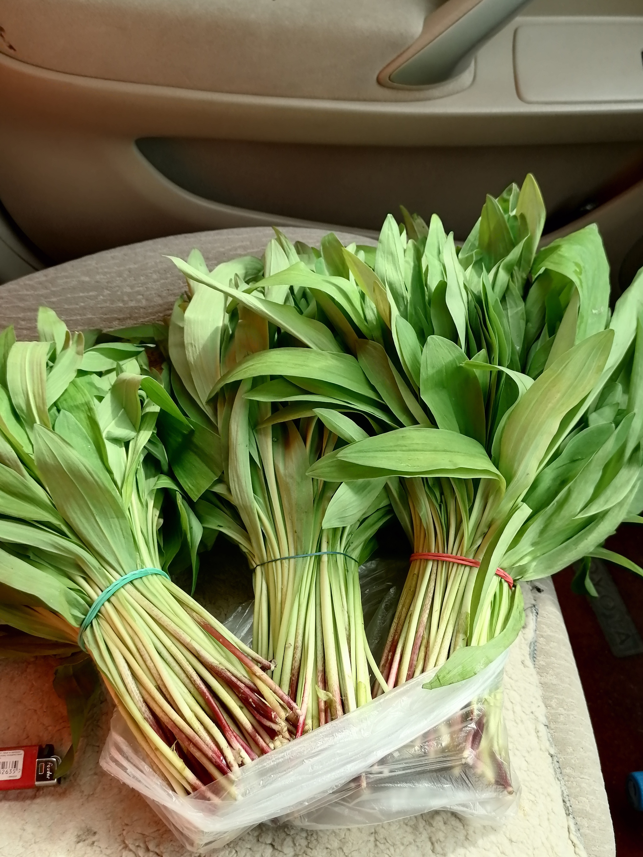 Bought flowers for my wife - My, Siberia, Ramson