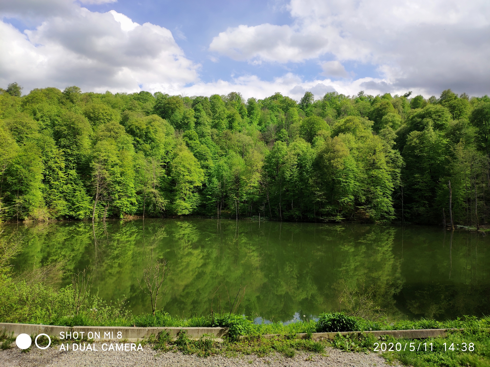 Secret lake - My, Blue Lake, Nature, Lake, The photo, Forest