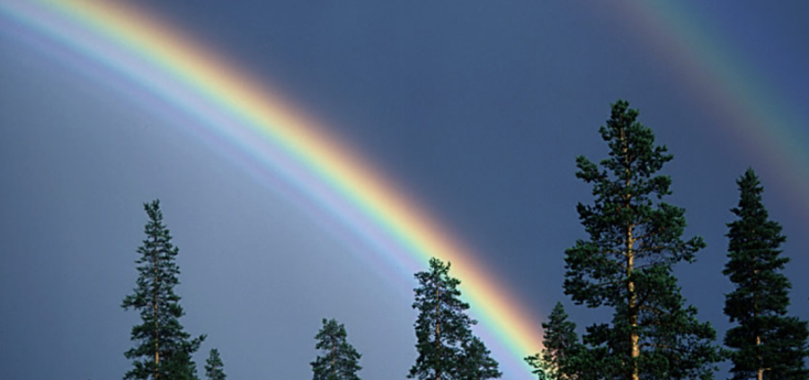 How does a rainbow work? Part 1: Primary Rainbow - My, The science, Rainbow, Optics, Images, Longpost