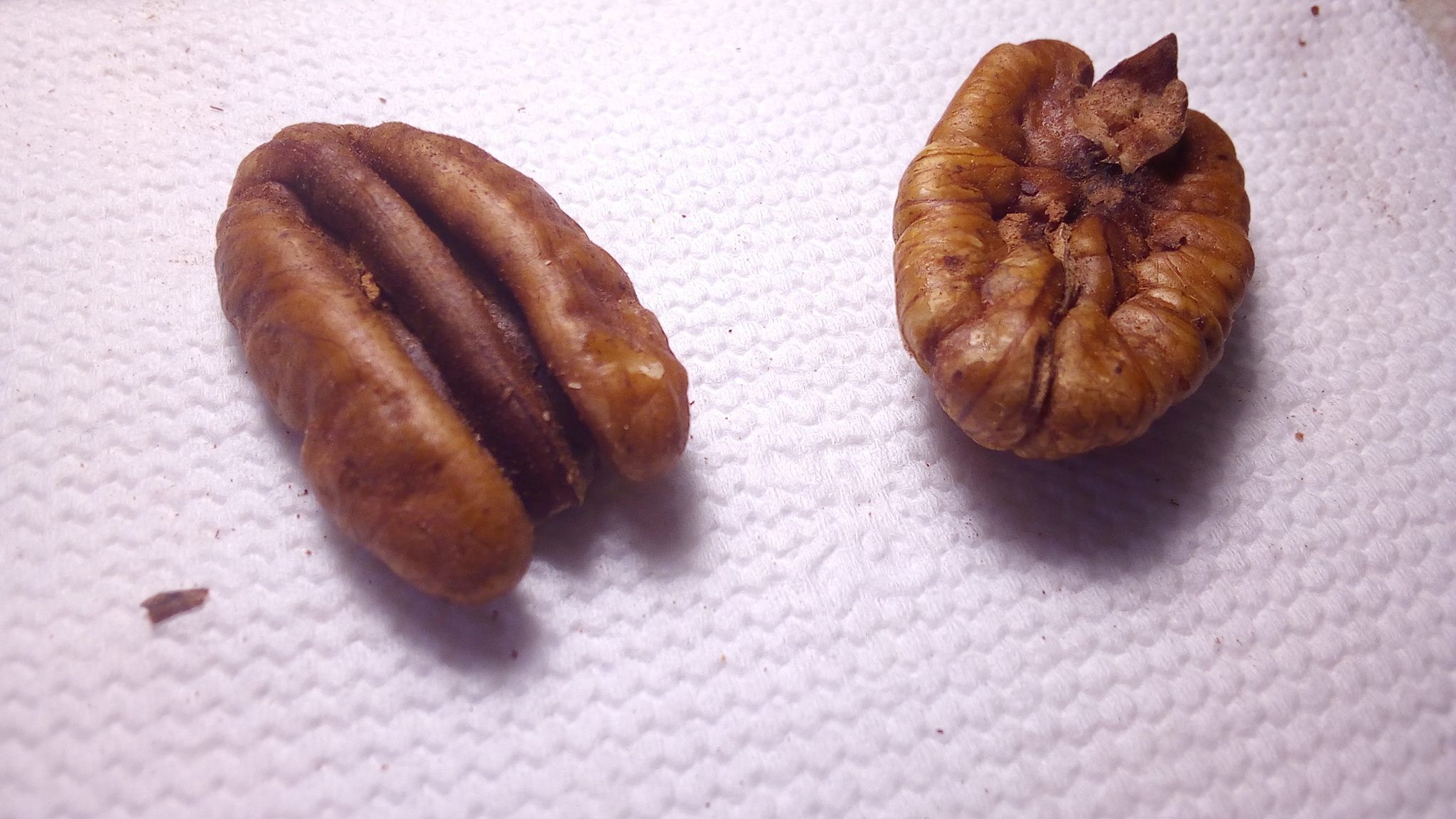 Tell me, what kind of nut is this? - My, Nuts, Question, Products, Longpost