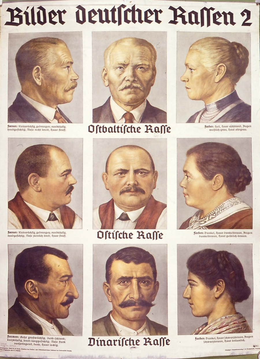 A visual aid to the racial theory taught in the Third Reich - Poster, Visual material, Germany, Eugenics, Longpost