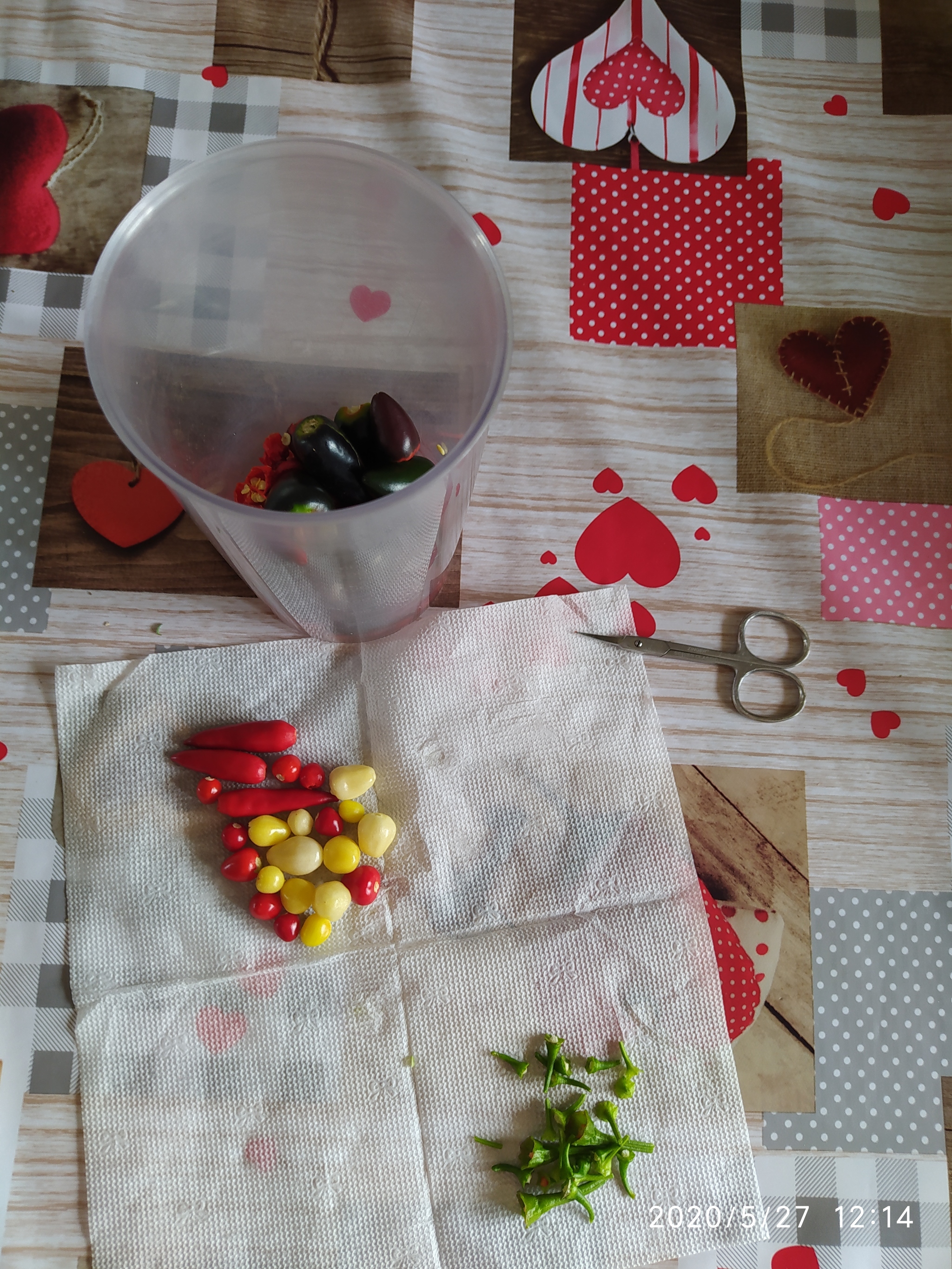 Sriracha assorted, harvesting, preparing for cooking (part 1) - My, Vegetable garden on the windowsill, Hot peppers, Hobby, Pepper farming, Cooking, Spicy sauce, Longpost