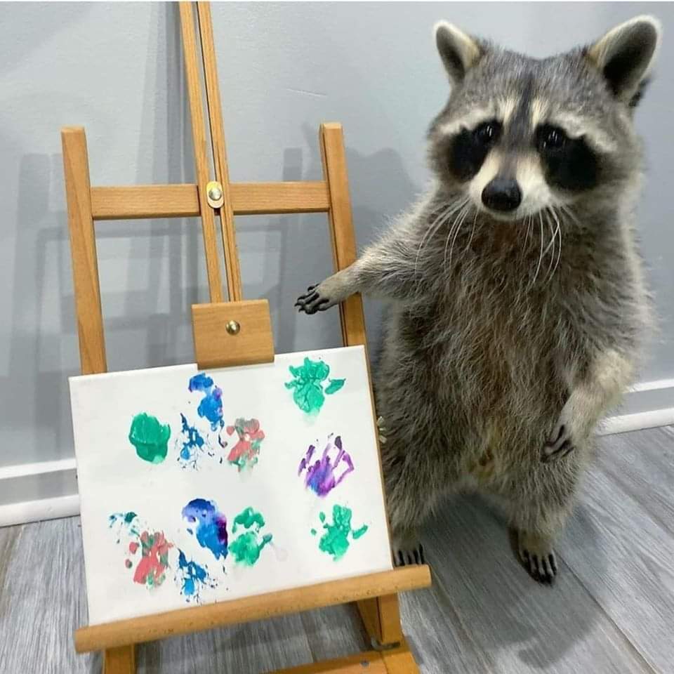 “I honestly tried, but what happened is what happened” - Raccoon, Painting