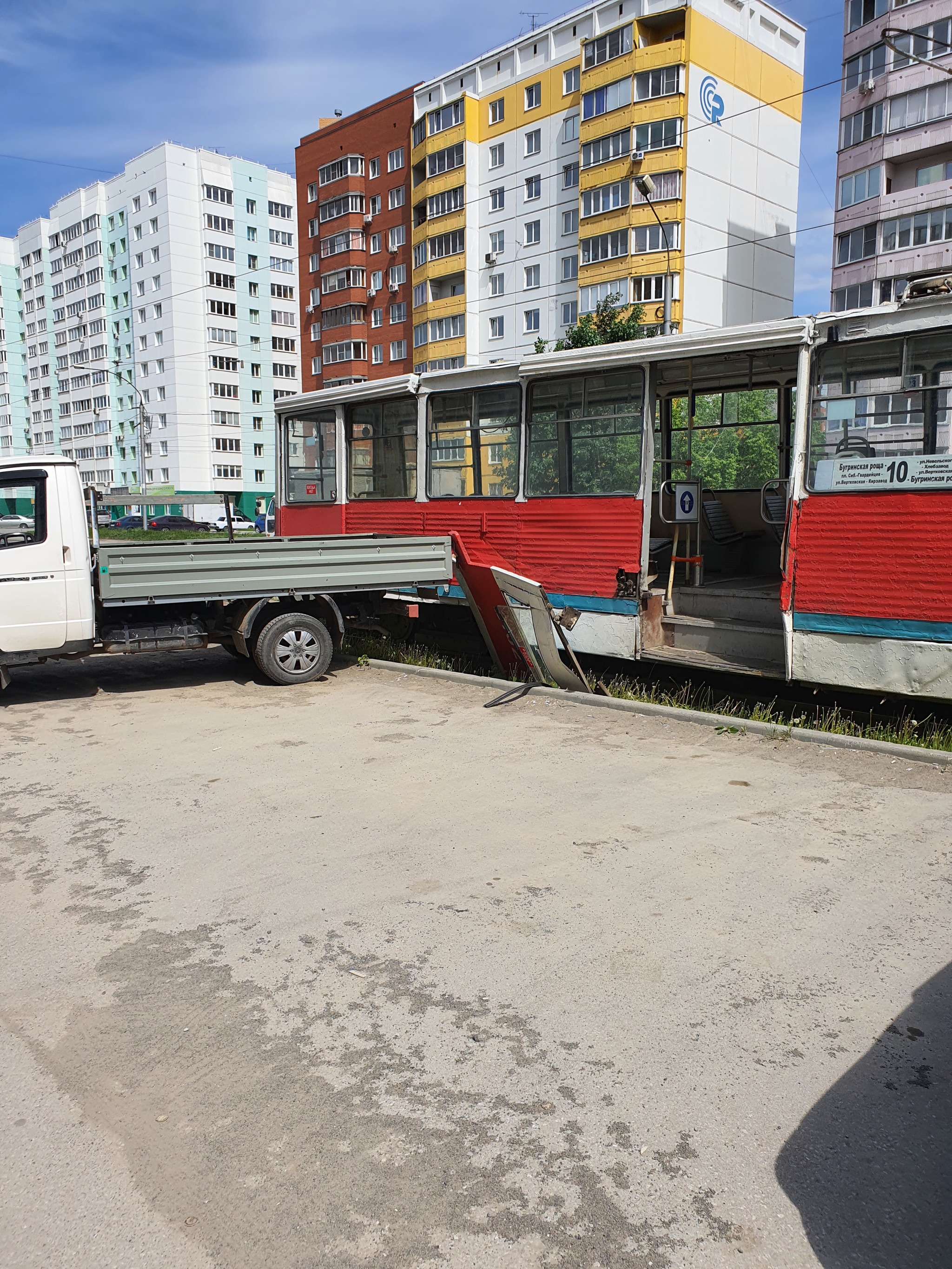 Gazelle vs tram - My, Gazelle, Tram, Longpost