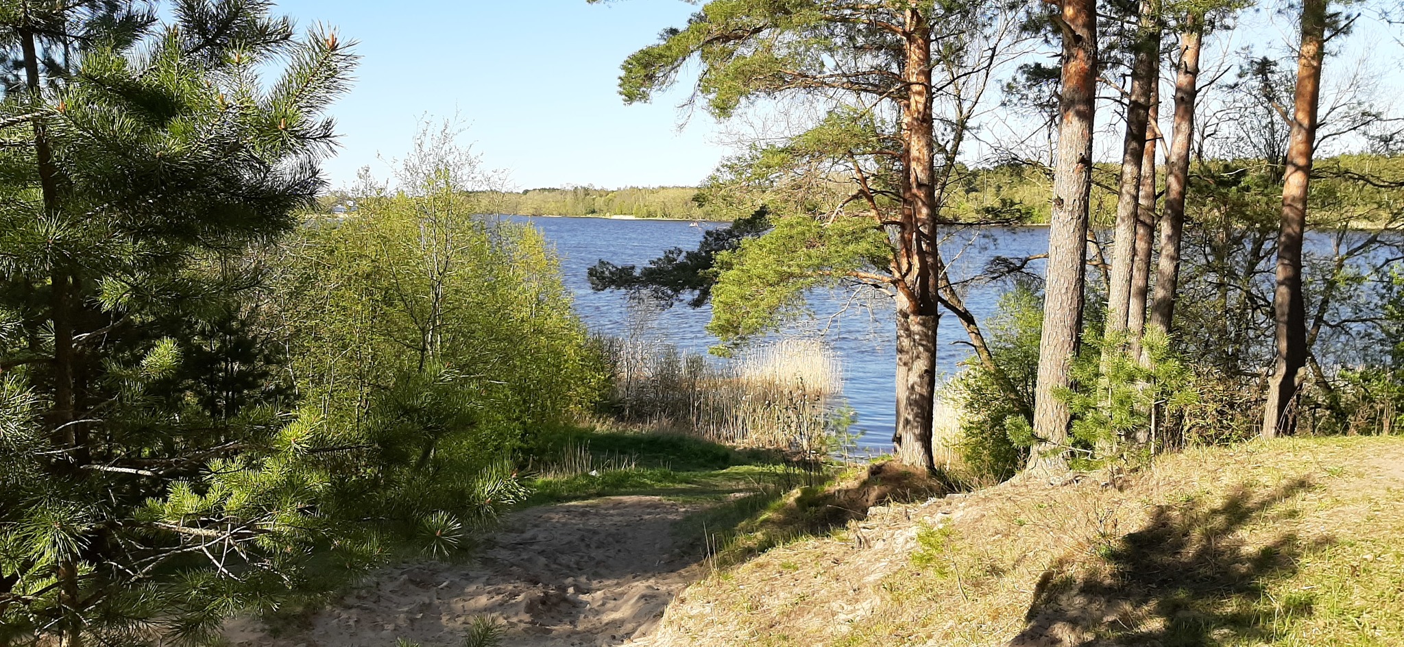 The beauty of the Leningrad region - My, Leningrad region, Staraya Ladoga, The Gulf of Finland, Lindulovskaya grove, Vacation, Longpost