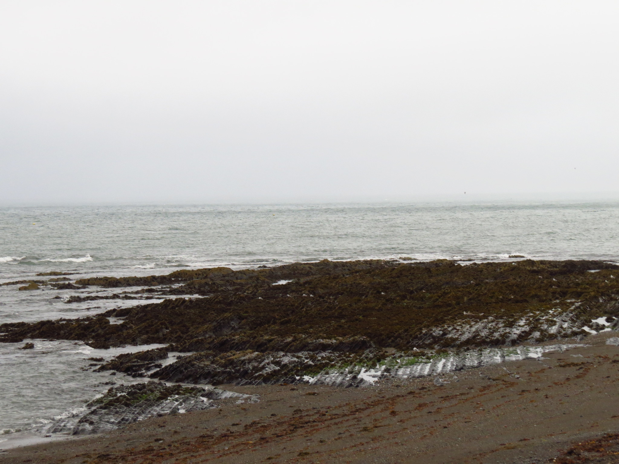 Nature of Wales (UK) - My, Wales, Great Britain, Nature, Longpost, Landscape, The photo