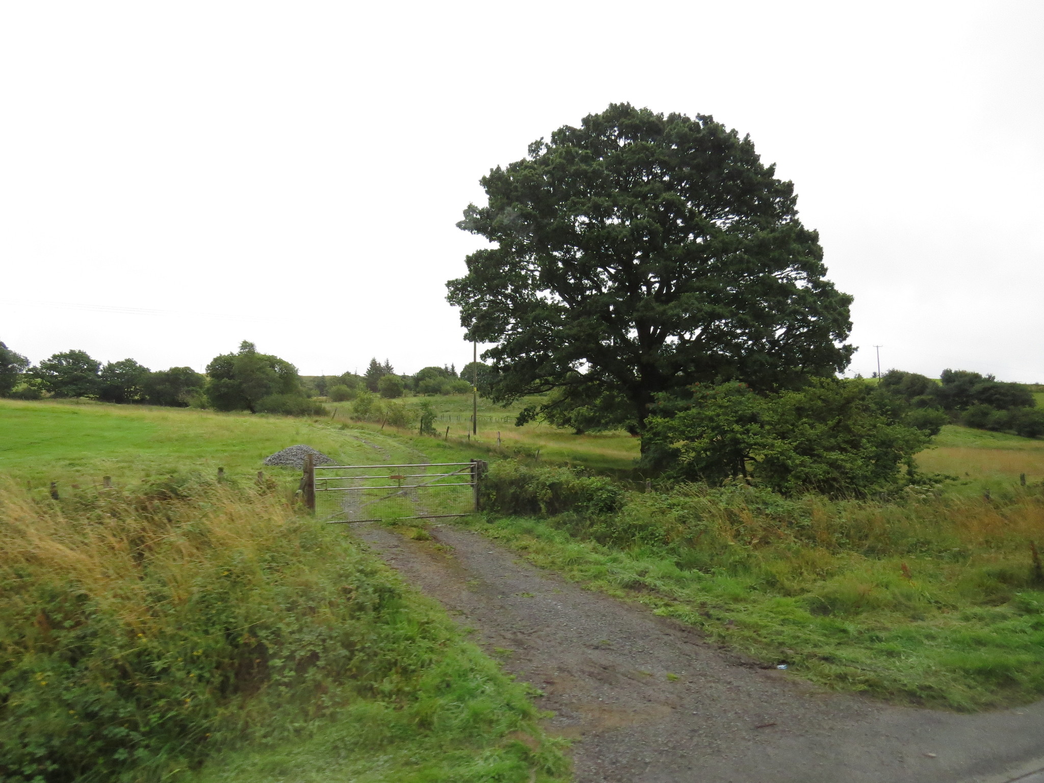 Nature of Wales (UK) - My, Wales, Great Britain, Nature, Longpost, Landscape, The photo