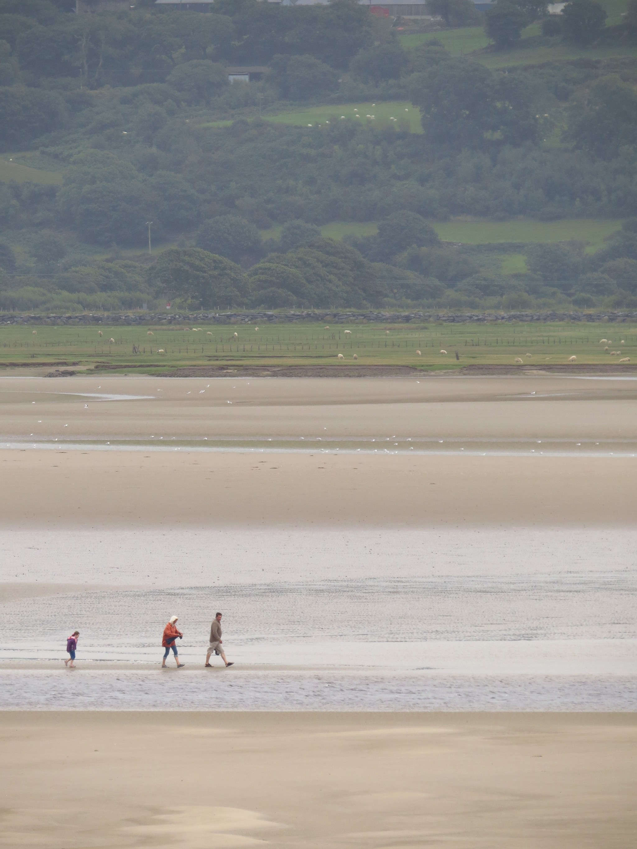 Nature of Wales (UK) - My, Wales, Great Britain, Nature, Longpost, Landscape, The photo