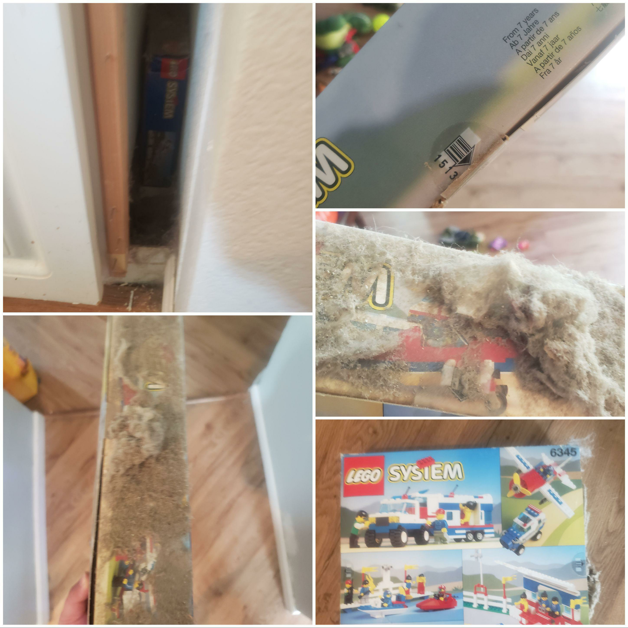 “Today I opened a closet at home and found this sealed set behind it.” - The photo, Constructor, Lego, Cache, USA, Luck