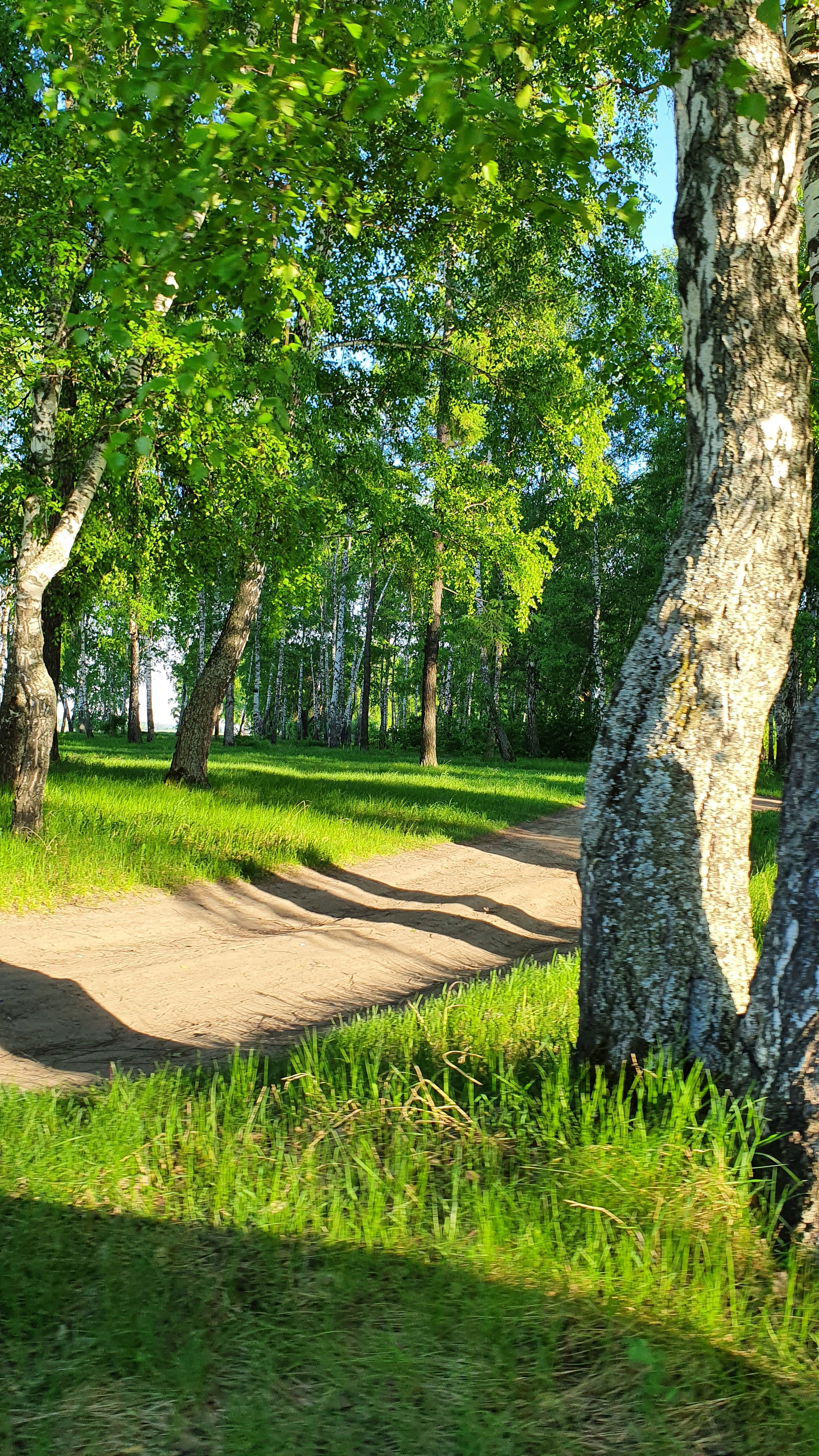 Енисей Незабудки - Моё, Природа, Река, Рукоделие без процесса, Браслет, Незабудки, Красота, Длиннопост