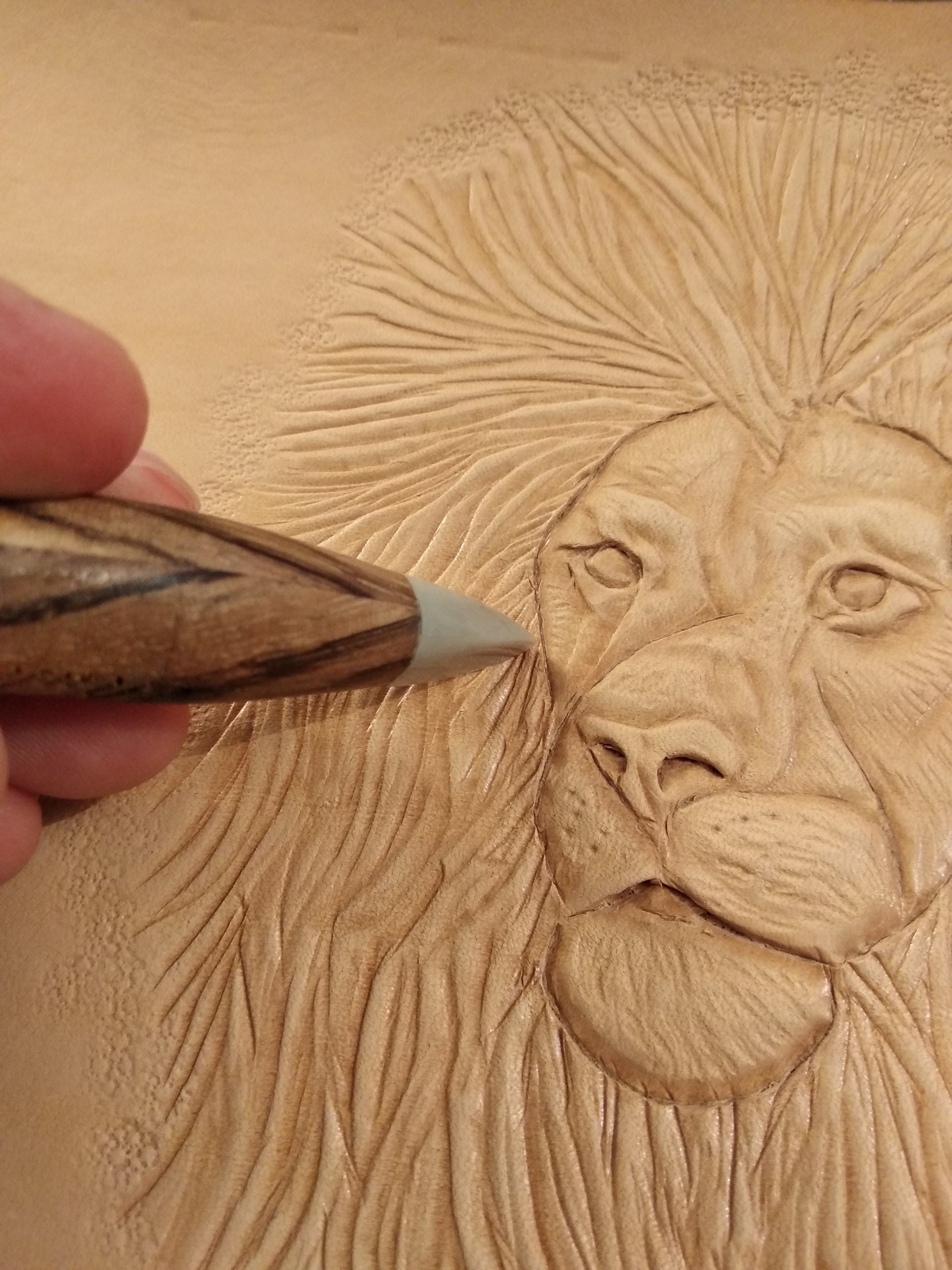 Lion's try! - My, The lion king, Needlework without process, With your own hands, Needlework, Longpost