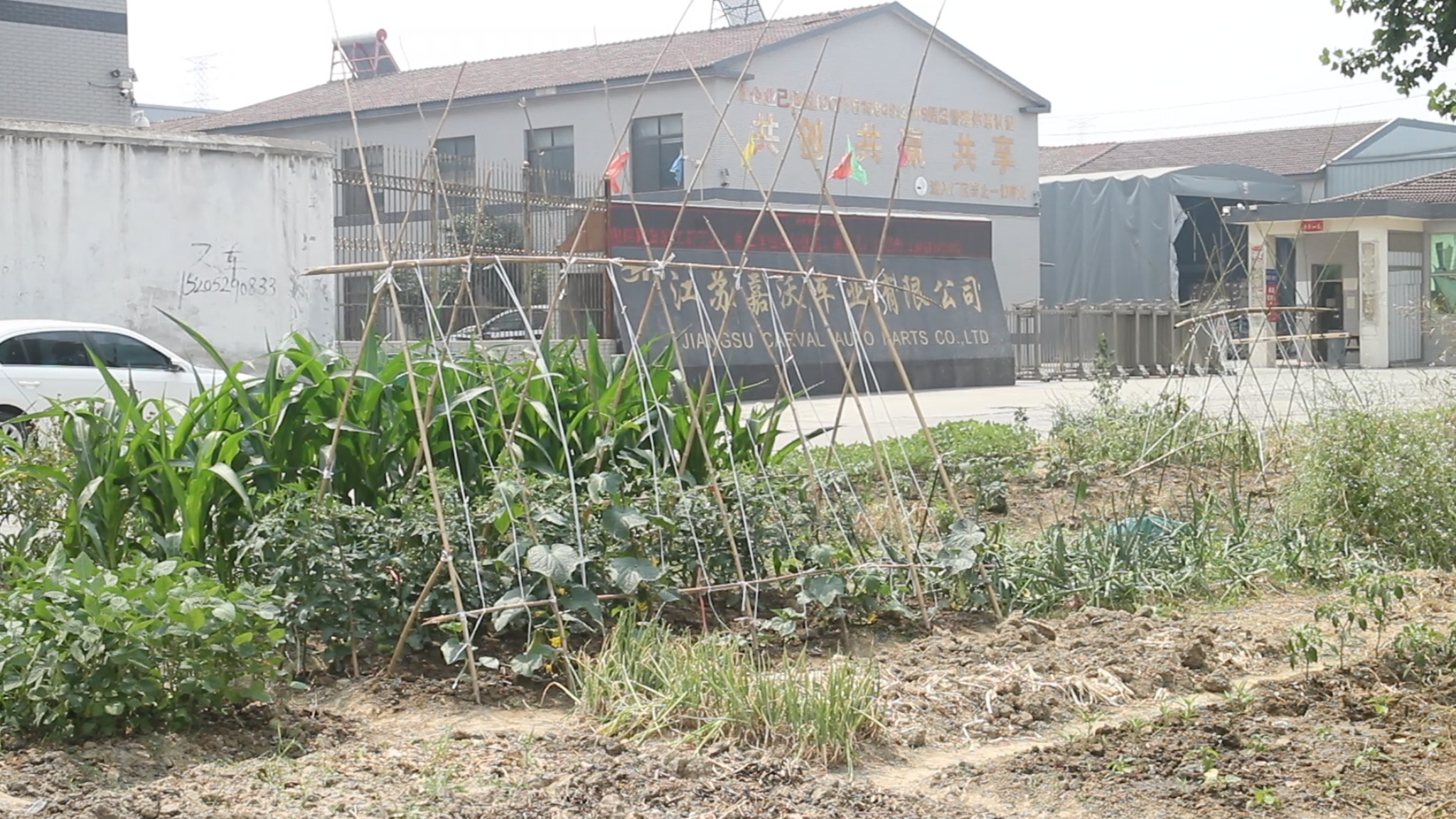 Specifics of Chinese production in the village - My, China, Chinese, Production, Longpost, Video