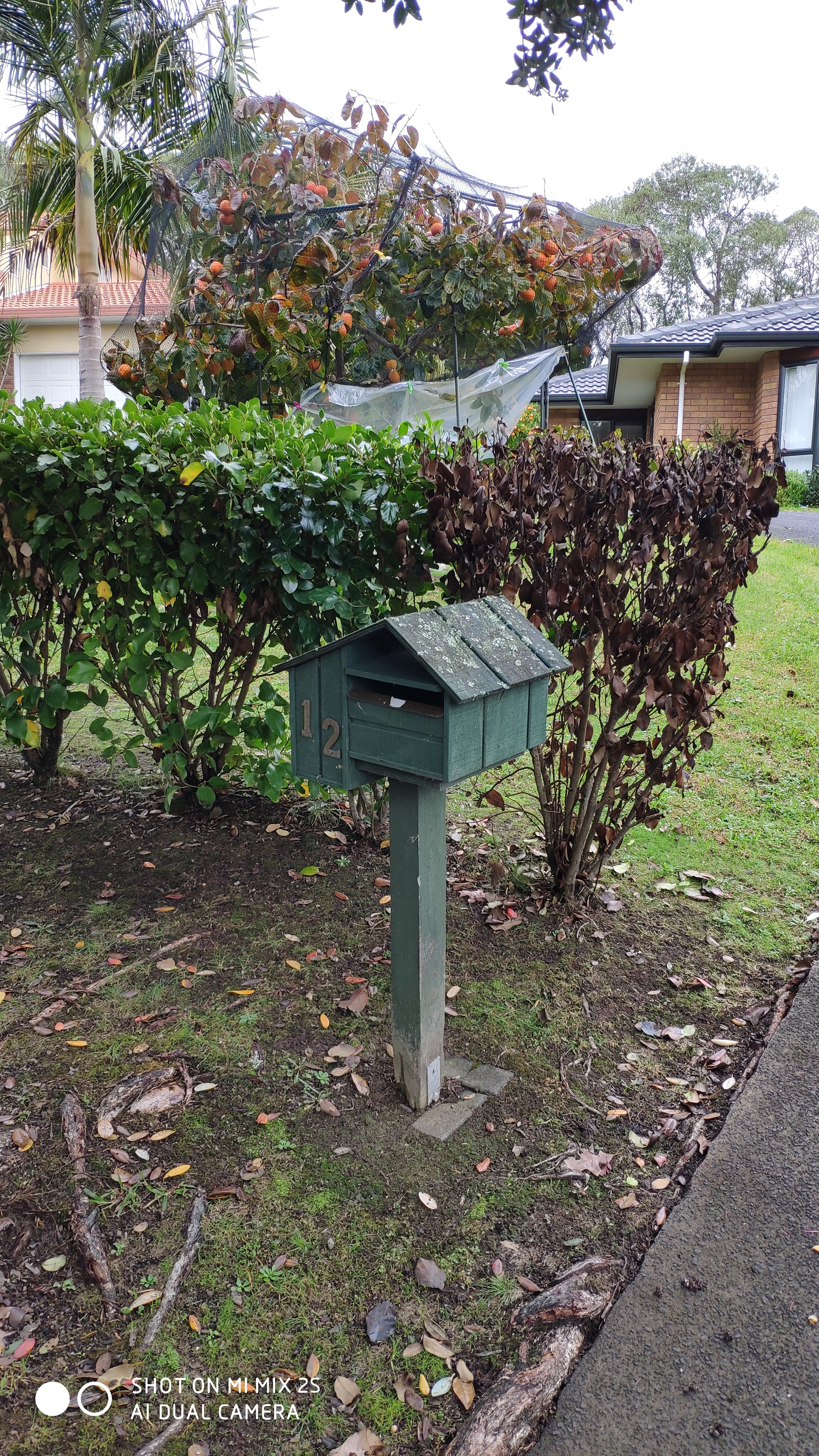 Mailboxes - My, New Zealand, Mailbox, beauty, mail, Walk, Longpost